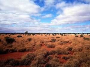 Бескрайние пустыни Австралии фото